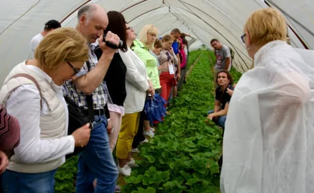 Мероприятие Ягодной Академии — обмен опытом