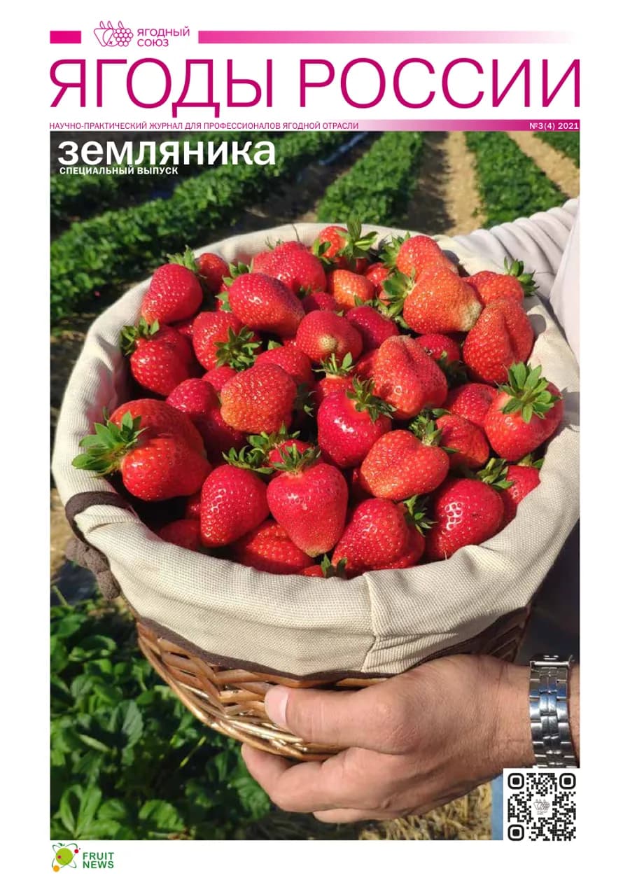 Ягоды России №3 (4) 2021. Земляника
