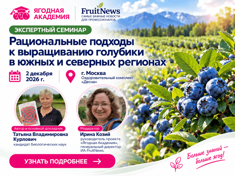 Рациональные подходы к выращиванию голубики в южных и северных регионах