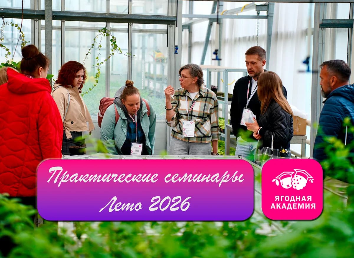 Экспертный семинар «Голубика в масштабе»