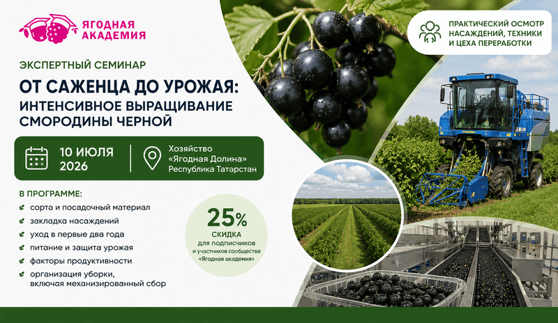 Экспертный семинар «От саженца до урожая: интенсивное выращивание смородины черной»