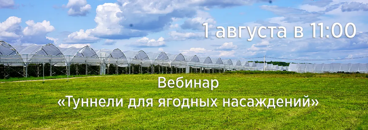 Вебинар «Туннели для ягодных насаждений»