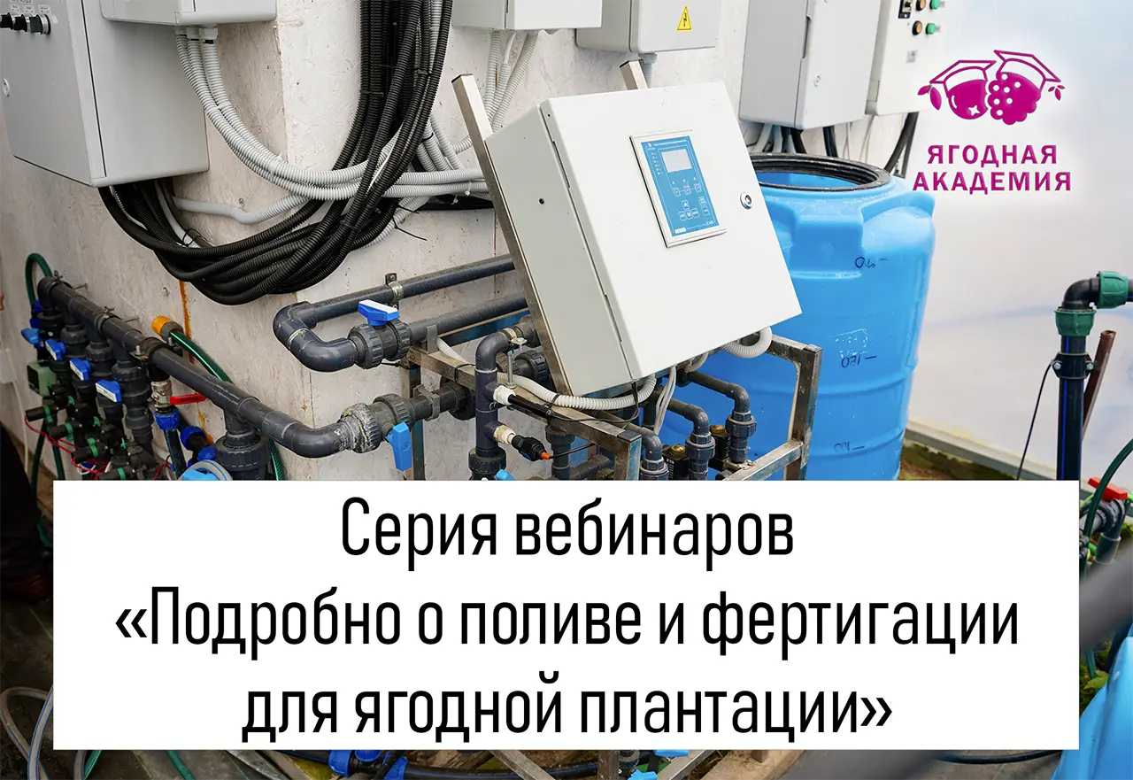 Серия вебинаров «Подробно о поливе и фертигации для ягодной плантации»