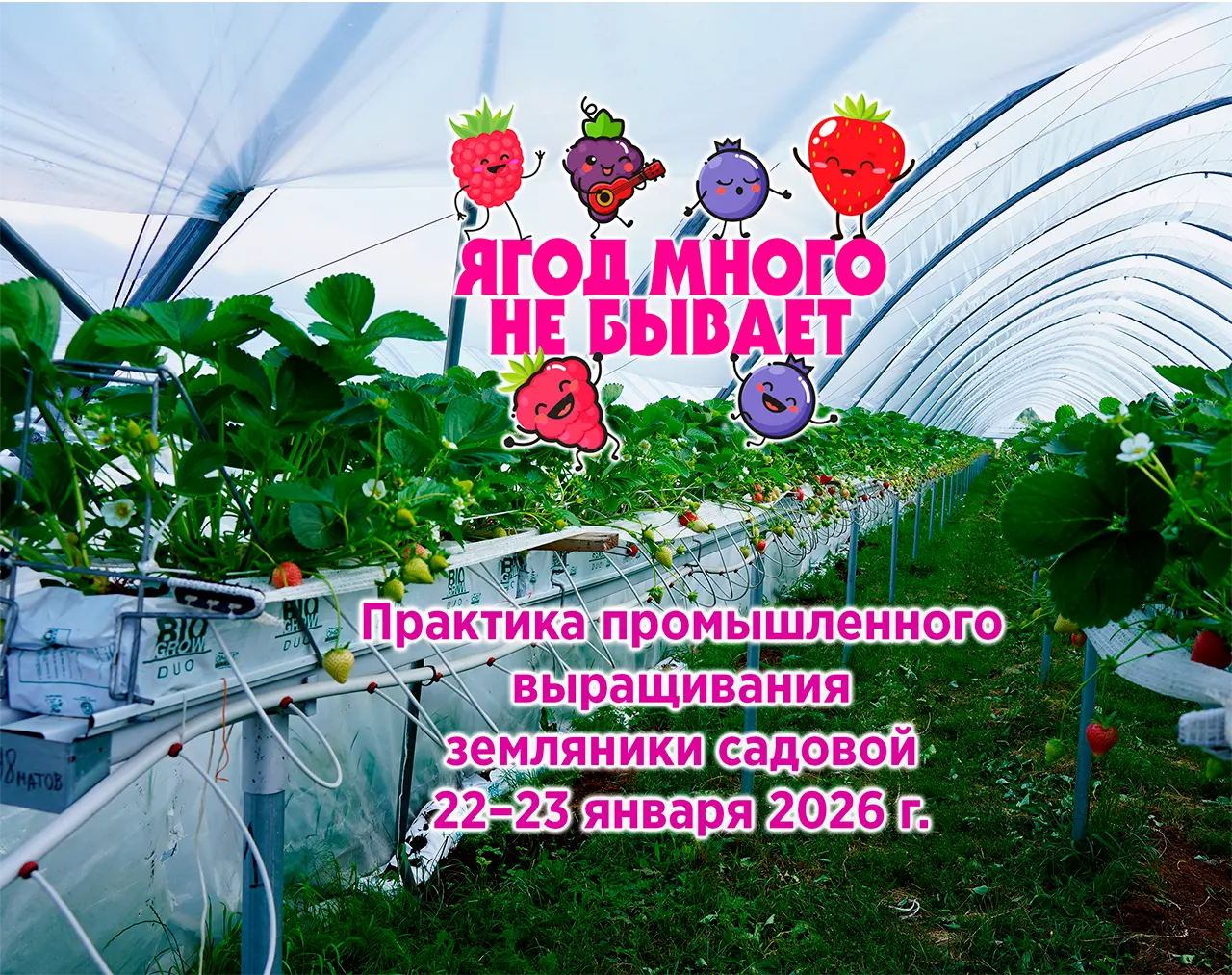 «Практика промышленного выращивания земляники садовой» 22–23 января 2026 г.