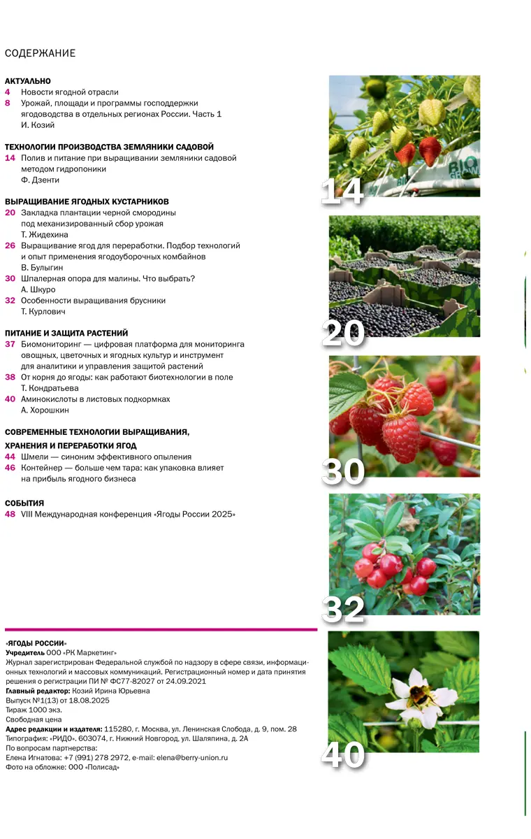 berry-11325-2.webp