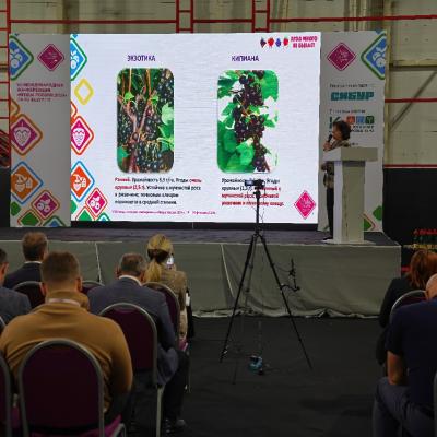 Bu Dsc02564 2024 P11835