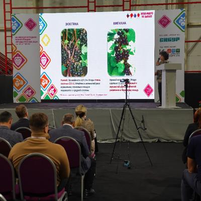 Bu Dsc02565 2024 P39323