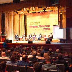 Ягоды России 2018