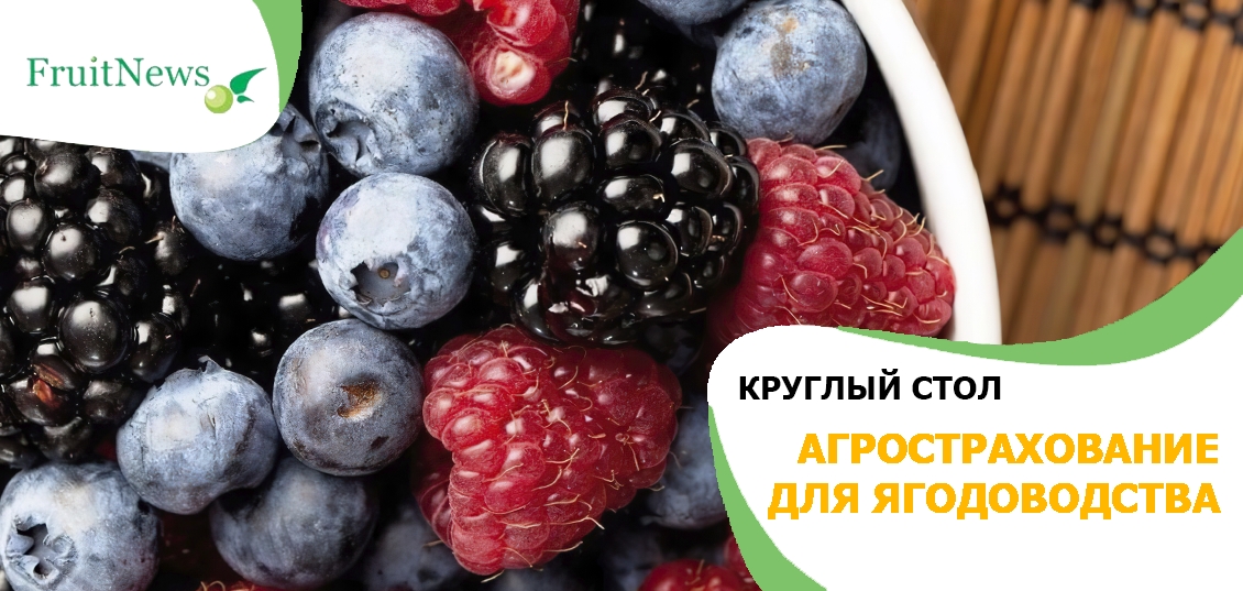 Круглый стол Агрострахование для ягодоводства **23 **апреля** 2020**