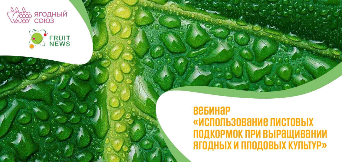 Вебинар «Использование листовых подкормок при выращивании ягодных и плодовых культур» **22 **апреля** 2021**