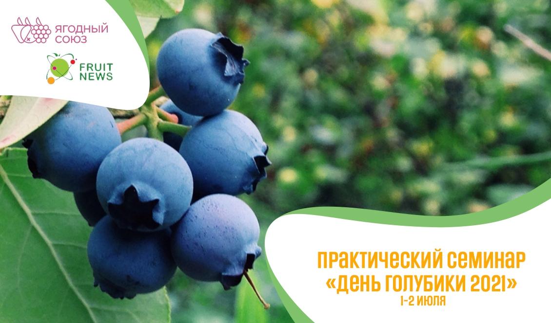 Практический семинар «День голубики 2021» 1-2 июля 2021 года **01 **июля** 2021**