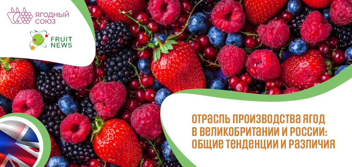 Вебинар «Отрасль производства ягод в Великобритании и России: общие тенденции и различия» **09 **февраля** 2021**