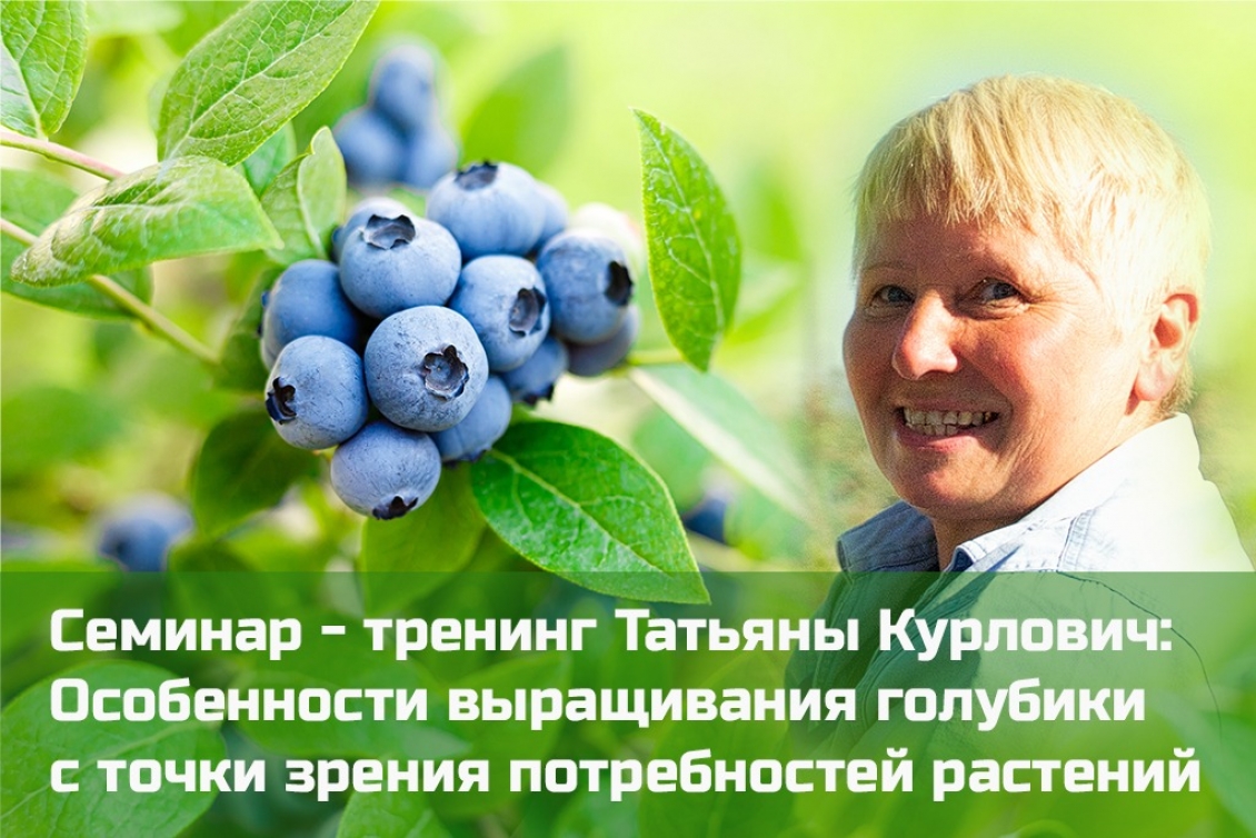 Семинар - тренинг: Особенности выращивания голубики с точки зрения потребностей растений **03 **августа** 2020**
