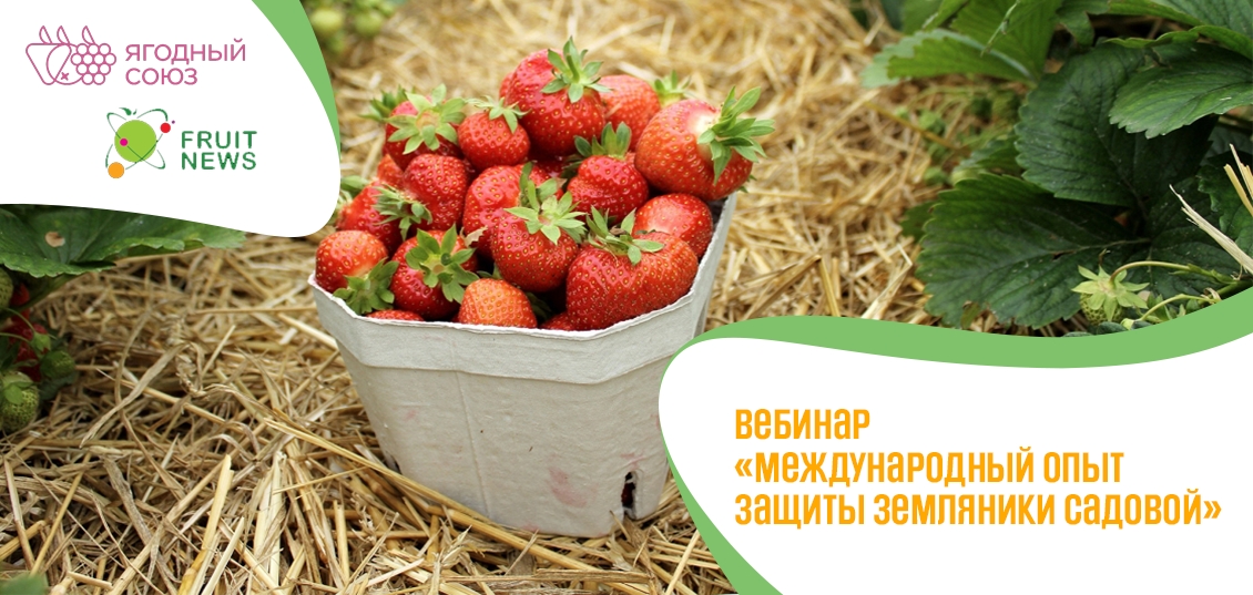Вебинар «Международный опыт защиты земляники садовой» **15 **апреля** 2021**