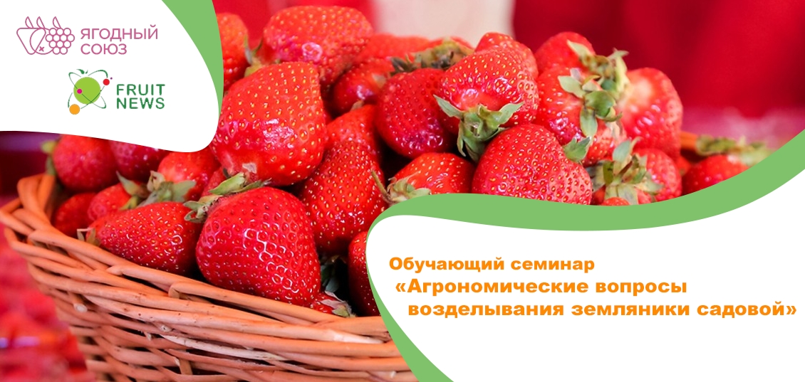  Обучающий семинар «Агрономические вопросы возделывания земляники садовой» **06 **апреля** 2021**