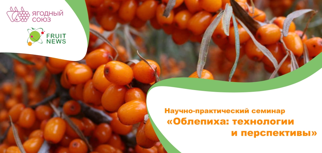 Научно-практический семинар «Облепиха: технологии и перспективы» **17 **сентября** 2020**